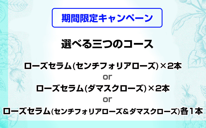 セール,SALE,キャンペーン,期間限定,お得,セット